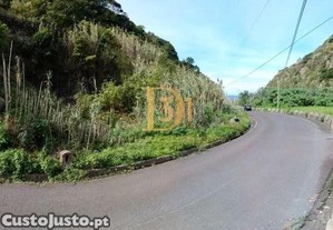 imagem_12