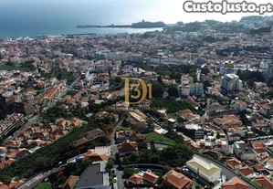 imagem_8