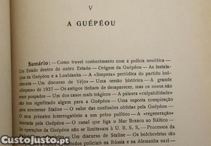 imagem_6