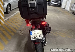 imagem_2