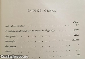 imagem_7