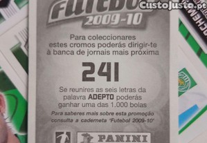 imagem_2