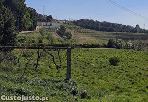 imagem_10