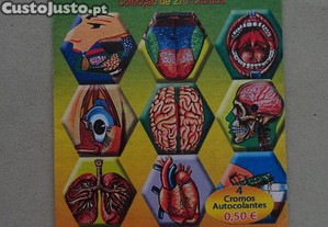 imagem_1