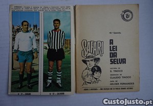 imagem_3