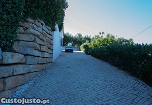 imagem_11