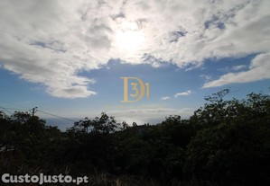 imagem_26