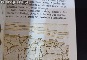 imagem_6