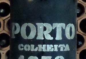 imagem_6