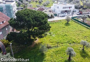 Terreno para construção || 24 Fracções || Pombal