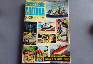 Caderneta de cromos Enciclopédia da Cultura 1º Vol