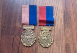 2 Medalhas Concurso Nac. Ginástica 1950 - 51