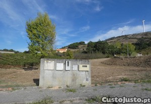 imagem_7