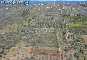 Terreno Rústico Com 1390 M² Na Zona De Lagoão