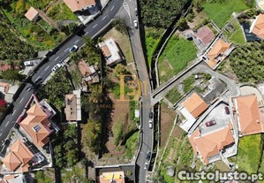 imagem_21