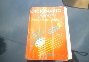 dicionários básicos da língua Portuguesa