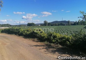 Terreno Agrícola Com 3.300 M2 Em...