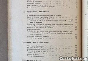 imagem_6