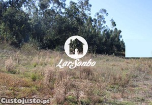 imagem_15