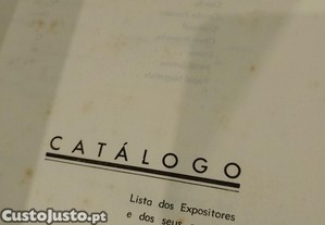 imagem_15