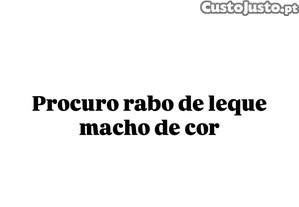 imagem_1