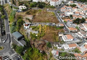 imagem_11