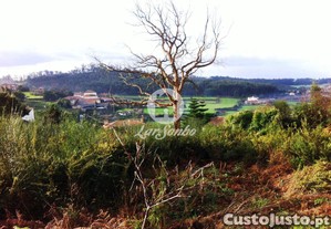 imagem_6