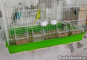 imagem_6
