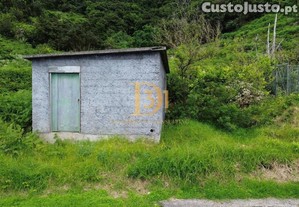 imagem_12