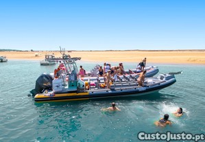imagem_28