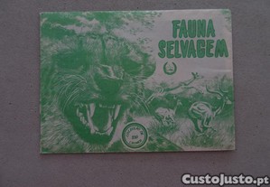 imagem_1