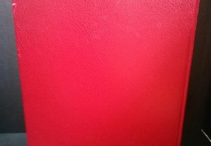 imagem_3