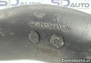 imagem_6
