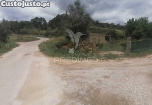 imagem_29