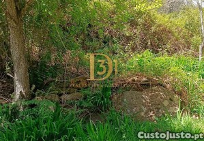 imagem_9
