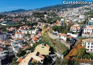 imagem_10