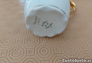 imagem_1