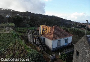 imagem_6