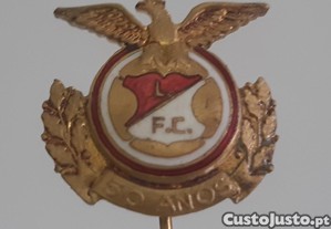 imagem_7