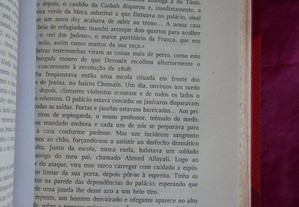 imagem_6