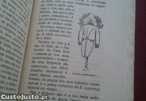 imagem_3