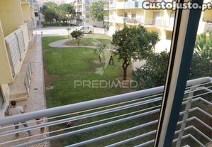 imagem_12