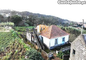 imagem_21