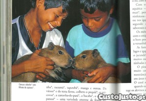 imagem_8
