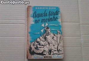 imagem_1