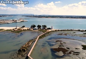 imagem_12