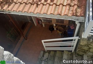 imagem_14