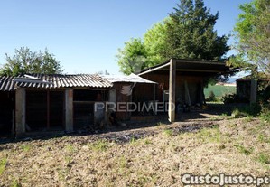 imagem_31