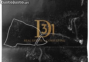 imagem_23