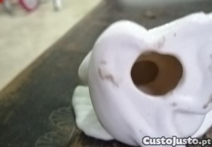 imagem_7